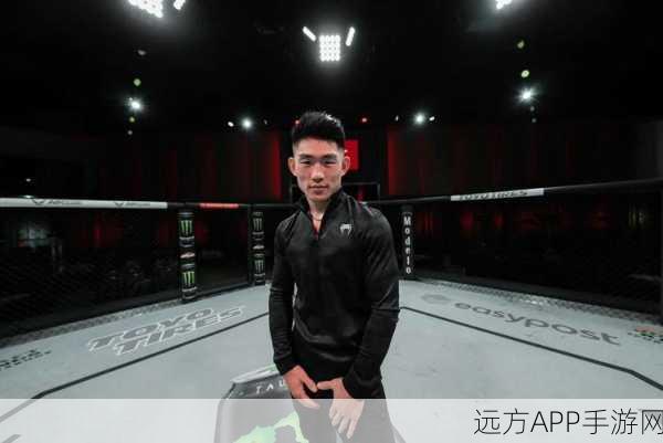 指尖上的格斗盛宴，EA SPORTS UFC Mobile 2 震撼发布，细节曝光