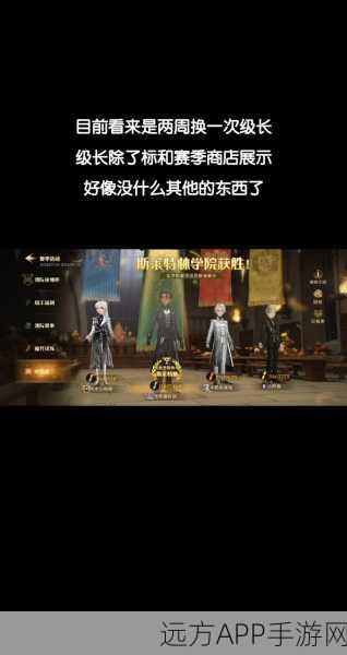 哈利波特手游深度揭秘,古卜莱仙火在魔法觉醒中的奥秘与竞技策略