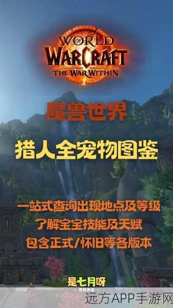 魔兽世界怀旧服，猎人种族选择全解析，哪个种族最适合你？