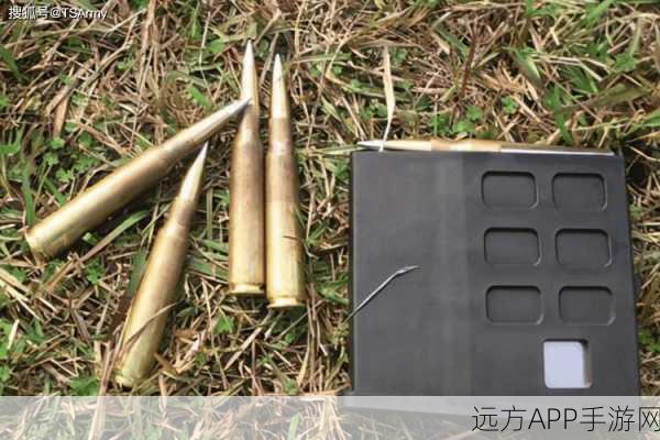 地铁逃生大赛制胜秘籍，提卡步枪子弹选择深度剖析与实战技巧