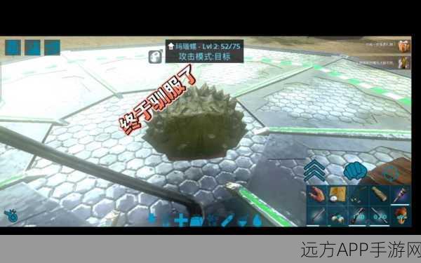 方舟生存进化，揭秘玛瑙螺驯服秘籍，助你资源收集事半功倍