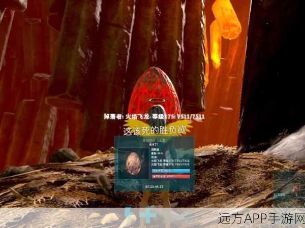 探秘方舟生存进化，飞龙谷的奇幻之旅及详尽攻略