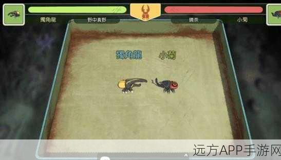 小森生活，挑战之路深度解析与新生代之战任务全攻略
