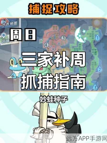 口袋妖怪XY,全面攻略,轻松捕获NPC稀有精灵