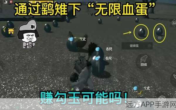 妄想山海，鹞雉捕捉全攻略，解锁珍稀宠物新技巧
