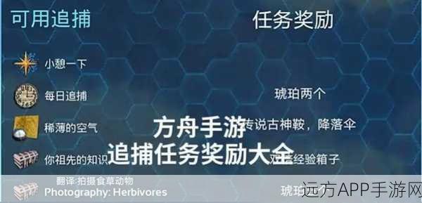 手游新纪元，方舟，生存进化命名大赛，探索最具魅力的游戏标签