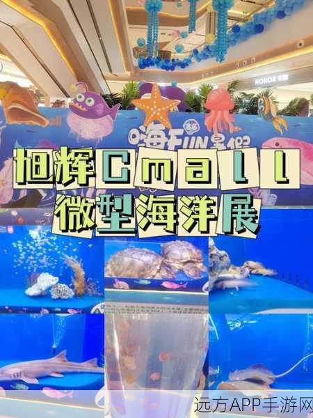 迷你世界珊瑚家具大赛，海洋风情家居设计新潮流