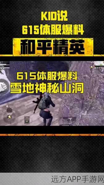 揭秘和平精英雪地空投奇案，物资失踪背后的玩家探险热潮