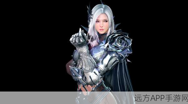 海德尔,黑色沙漠手游中的历史与冒险秘境全揭秘