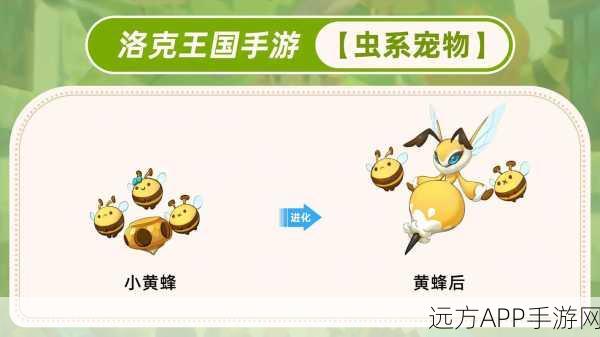 洛克王国虫虫空间挑战攻略，解锁隐藏关卡，赢取稀有宠物！
