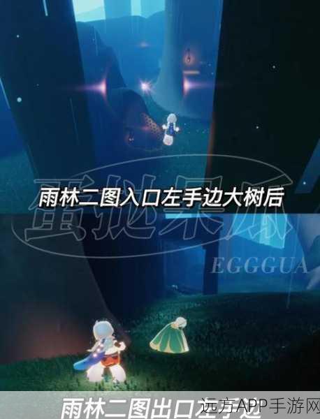 光遇禁阁推门先祖寻觅指南，揭秘隐藏位置与探索技巧
