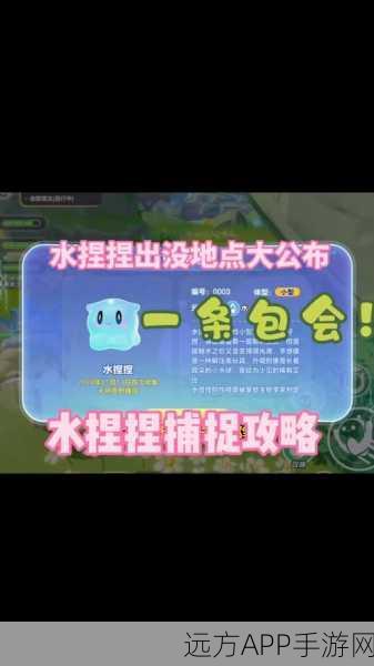 小森生活，揭秘阿懒熊王的夜晚出没规律与捕捉技巧