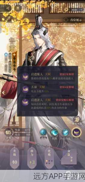 手游攻略，揭秘如鸢鲁肃星石完美搭配，打造顶尖战斗力
