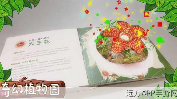 创造与魔法深度解析,大王花的奇妙作用与实战应用