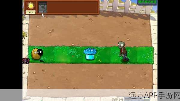 植物大战僵尸pvz版