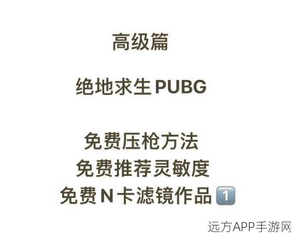 绝地求生高手秘籍，终极LYB战术深度解析与实战应用