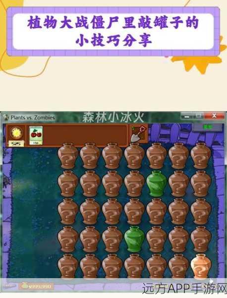 植物大战僵尸小技巧