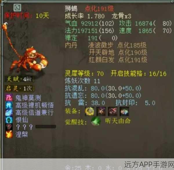 大话西游2宠物排行，揭秘最强战斗伙伴！