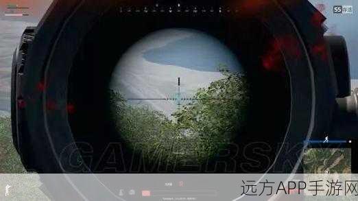 绝地求生大逃杀画面优化全攻略,解锁极致视觉体验,助你战场称雄