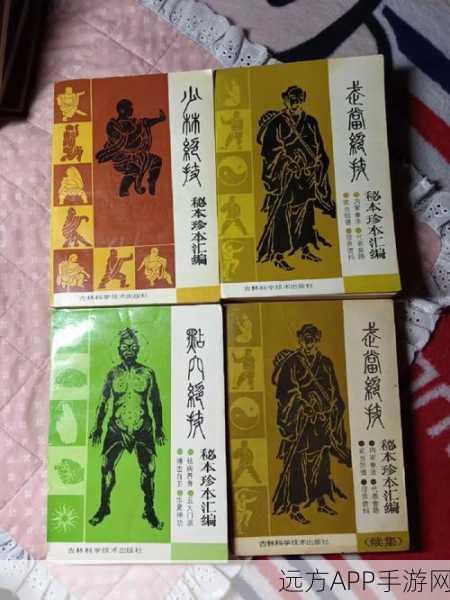 揭秘金庸群侠传3，少林偷经秘籍大公开！