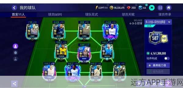 FIFA足球世界，揭秘宝藏足球物品，探索赛事激情与收藏奥秘
