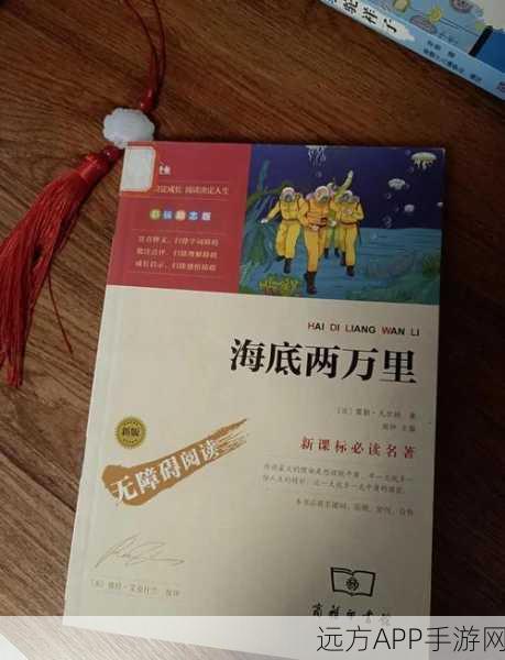 扬帆起航，探秘大航海之路美人蕉——一场绚烂的海洋之旅