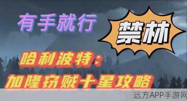 哈利波特,魔法觉醒加隆窃贼五星通关秘籍,深度策略与实战技巧大揭秘