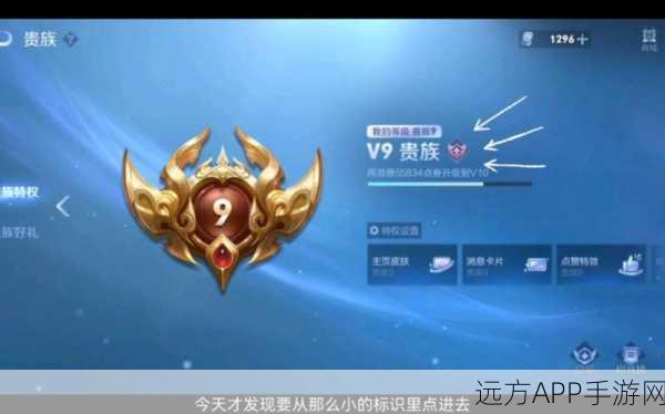 王者荣耀贵族标志隐藏攻略，低调炫技，赛场无痕