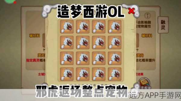 手游攻略，揭秘造梦西游OL宠物养成秘籍，速升经验与进化之道