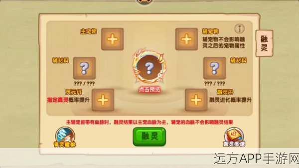 手游攻略,揭秘造梦西游OL宠物养成秘籍,速升经验与进化之道