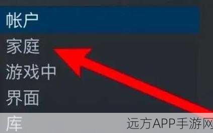 Steam家庭共享封号风险揭秘，你的账号会受牵连吗？