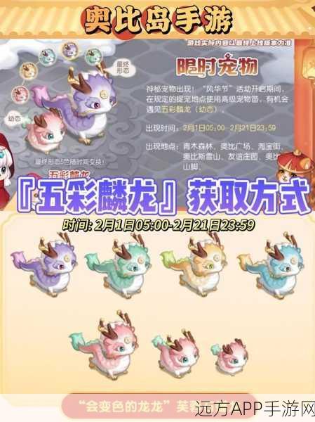 奥比岛宠物百科，全种类捕捉技巧与养成秘籍