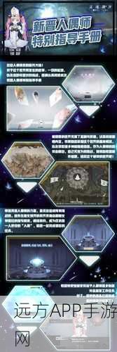 灵魂潮汐相伴玩法全攻略，深度解析与实战技巧