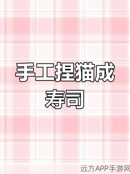 萌翻天的猫咪寿司制作大赛，轻松休闲新体验