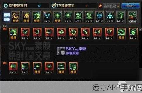 DNF手游韩服弹药专家加点秘籍,技能精选与配置实战指南