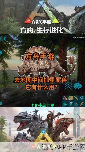 手游攻略大揭秘，创造与魔法中龙种获取与驯服全攻略
