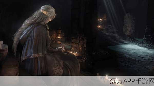 豪华与标准之差，黑暗之魂3双版本详细对比解析