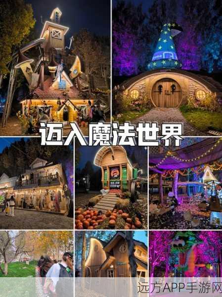 探寻创造与魔法结缘秘境，浪漫邂逅的奇幻之地