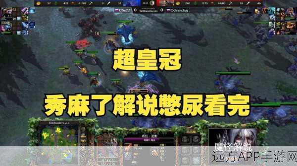 魔兽争霸3术语大揭秘,专业名词与缩写全解析,带你深入比赛现场