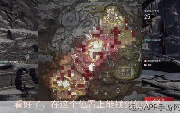 永劫无间火罗国探秘，仙人掌位置全解析及竞技策略