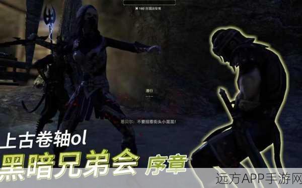 上古卷轴OL深度攻略,揭秘黑暗兄弟会任务全解析