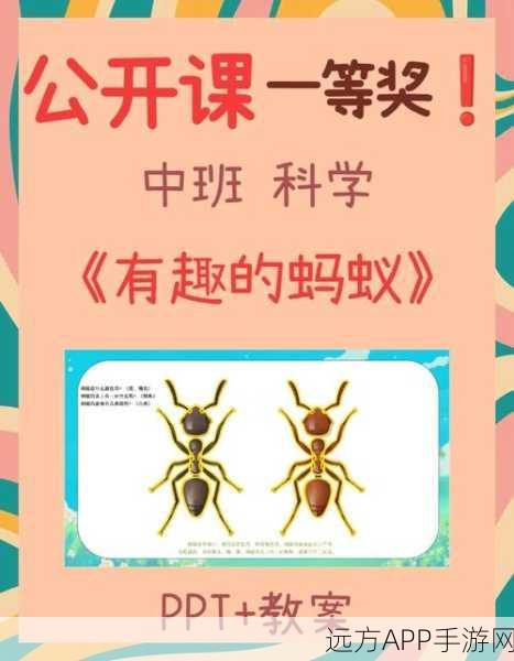 蚂蚁奇遇,探索菲黛尔小迷宫,开启微观世界的冒险之旅