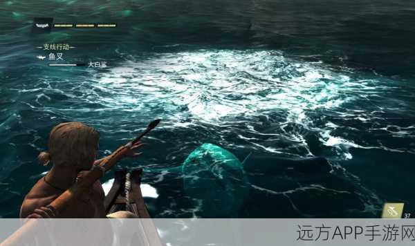 探寻刺客信条，黑旗锤头鲨的踪迹，深海冒险与宝藏揭秘