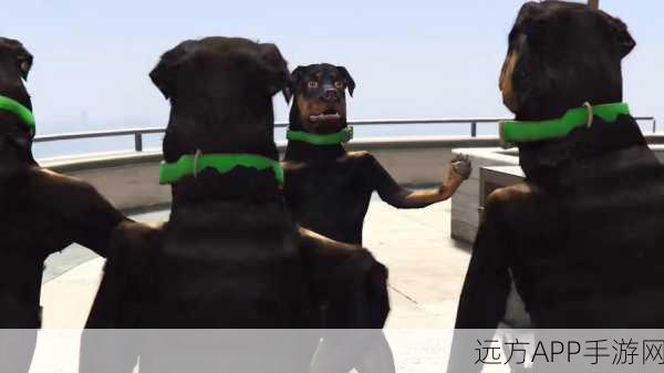 GTA5中的小查:如何有效训练他