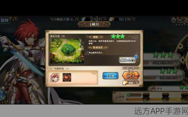 梦幻模拟战深度解析，维尔纳帽子搭配攻略与实战技巧