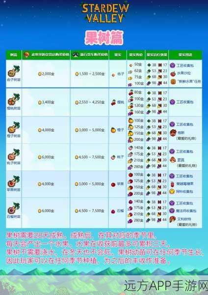 星露谷物语深度探索,揭秘魅力千金海莉的浪漫邂逅攻略