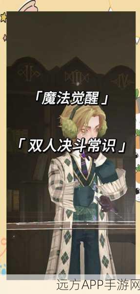 哈利波特魔法觉醒，深度解析组队课堂任务，助你轻松通关！