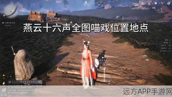 萌趣探秘,燕云十六声中寻找猫猫大头隐藏位置全攻略