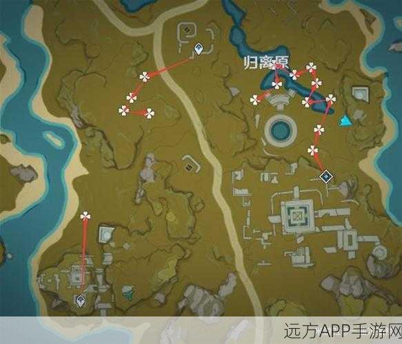 原神却砂木采集大赛，揭秘高效采集点，赢取丰厚游戏奖励！