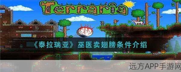 泰拉瑞亚手机版,揭秘巫医出现条件与神秘玩法